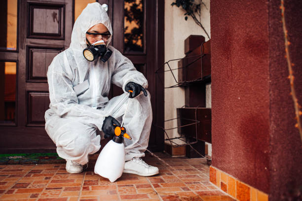 Reliable Ant Control contractor in Ansonia, OH by Show Me Pest Control
